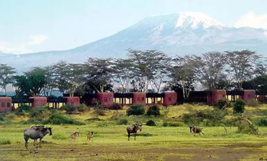 Tanzania Classic