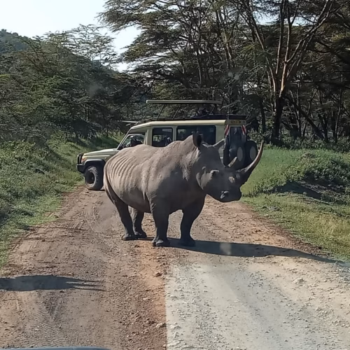 Tsavo National Park