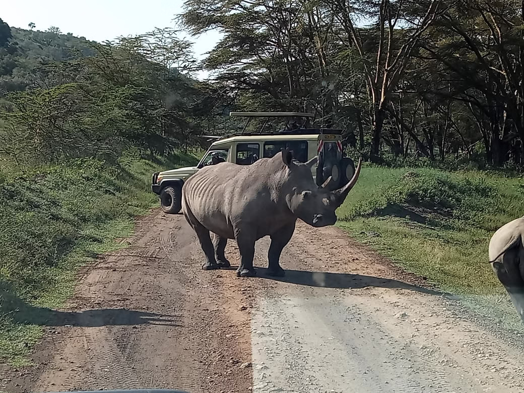Tsavo National Park